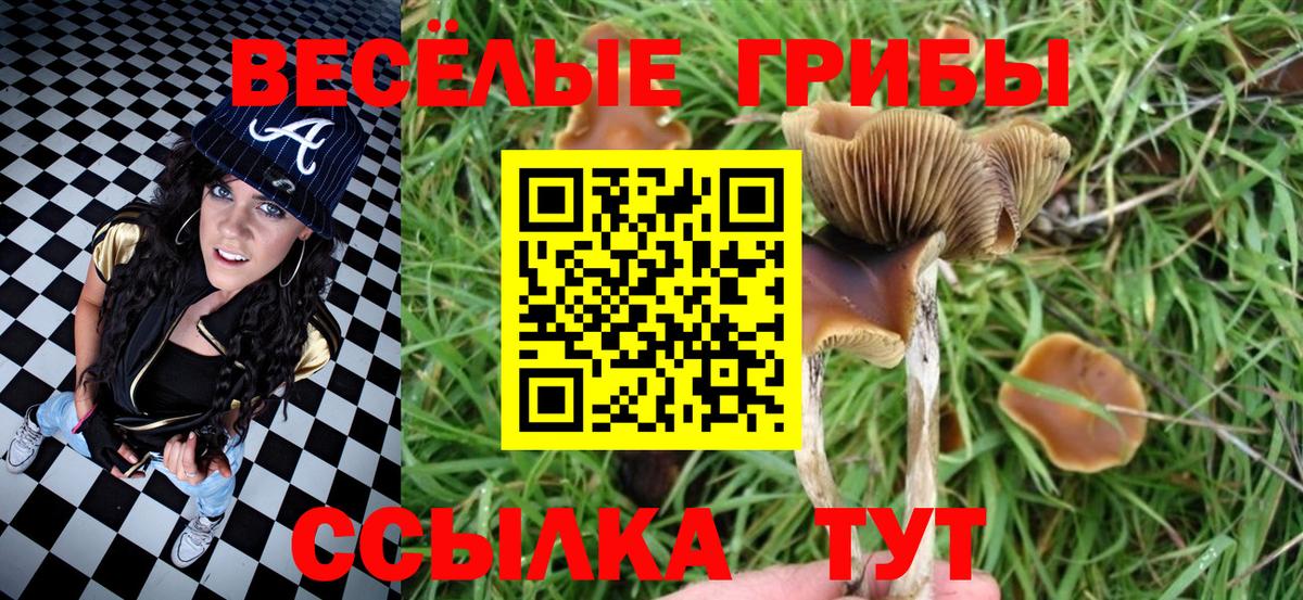 ГАШИШ  Марихуана  LSD-25  МЕФ  Северск  МДМА  Вход с VPN  Меф МЯУ МЯУ   МЕТАМФЕТАМИН  ГАШ 