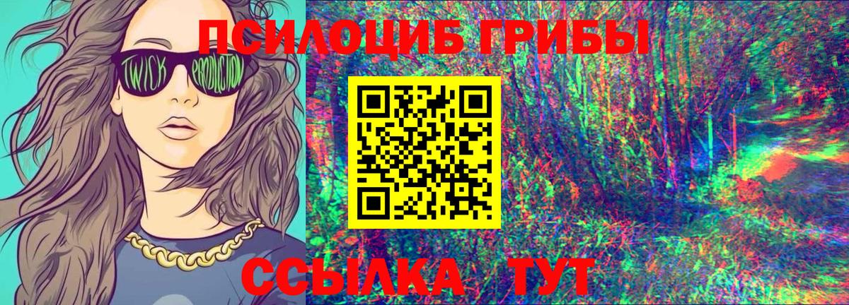Псилоцибиновые грибы GOLDEN TEACHER  Вход с VPN  Северск 