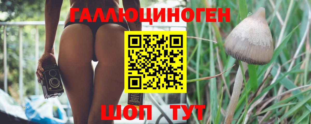 Псилоцибиновые грибы мухоморы Северск
